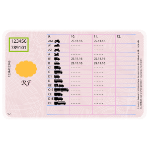 Comment obtenir le code NEPH sur l'ANTS ? 2 Code-NEPH-permis-apres-2013